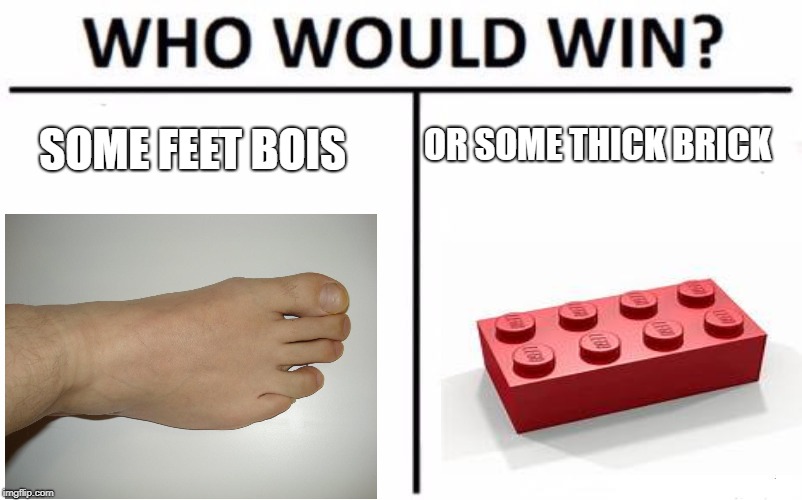 Who Would Win? | OR SOME THICK BRICK; SOME FEET BOIS | image tagged in memes,who would win | made w/ Imgflip meme maker