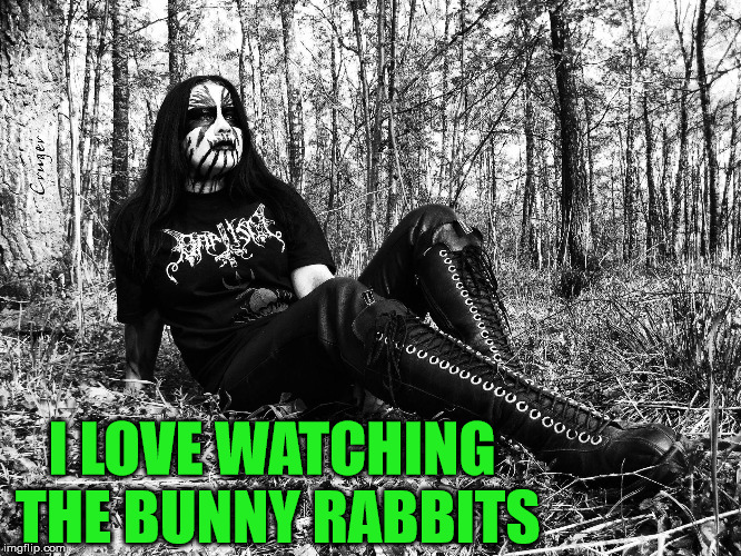 The sensitive side of death metal. | I LOVE WATCHING THE BUNNY RABBITS | image tagged in death metal,metal mania week,heavy metal,meme,overly sensitive | made w/ Imgflip meme maker