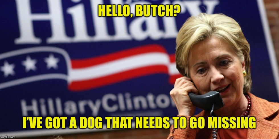 Hillary on phone | HELLO, BUTCH? I’VE GOT A DOG THAT NEEDS TO GO MISSING | image tagged in hillary on phone | made w/ Imgflip meme maker