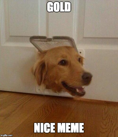 Dog door | GOLD NICE MEME | image tagged in dog door | made w/ Imgflip meme maker