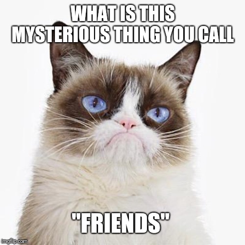Grumpy cat white background | WHAT IS THIS MYSTERIOUS THING YOU CALL "FRIENDS" | image tagged in grumpy cat white background | made w/ Imgflip meme maker