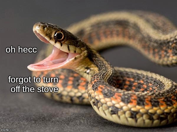 oh hecc | oh hecc; forgot to turn off the stove | image tagged in we do not swear,family friendly snake,snek,dont leave your stove on | made w/ Imgflip meme maker