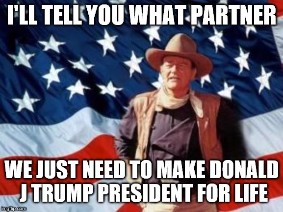John Wayne American Flag | I'LL TELL YOU WHAT PARTNER WE JUST NEED TO MAKE DONALD J TRUMP PRESIDENT FOR LIFE | image tagged in john wayne american flag | made w/ Imgflip meme maker