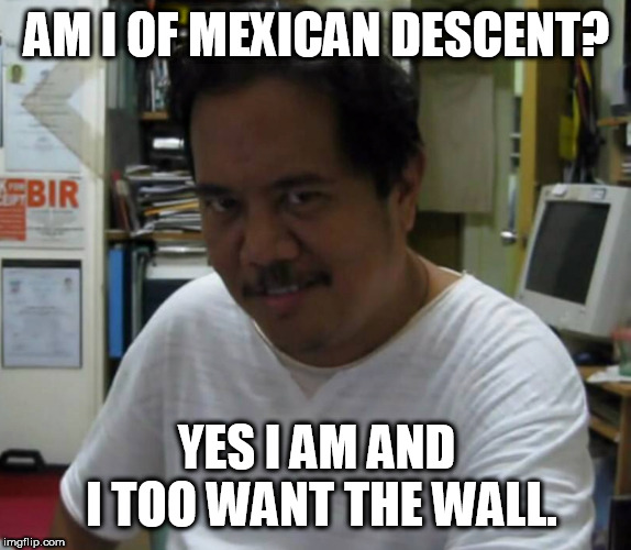 Mexican mAn | AM I OF MEXICAN DESCENT? YES I AM AND I TOO WANT THE WALL. | image tagged in mexican man | made w/ Imgflip meme maker