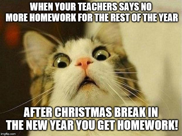 Scared Cat Meme | WHEN YOUR TEACHERS SAYS NO MORE HOMEWORK FOR THE REST OF THE YEAR; AFTER CHRISTMAS BREAK IN THE NEW YEAR YOU GET HOMEWORK! | image tagged in memes,scared cat | made w/ Imgflip meme maker