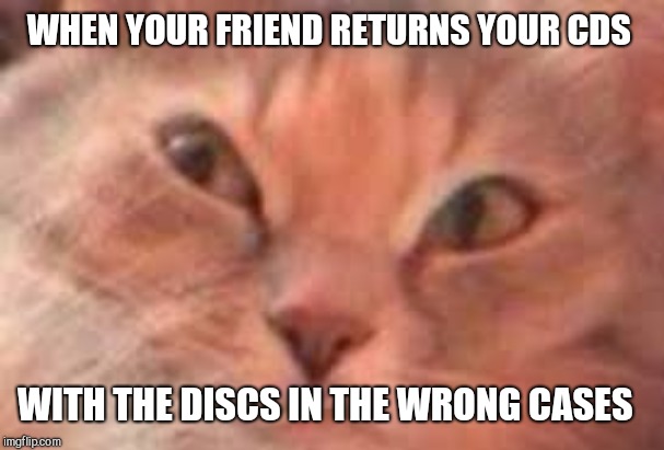 Triggered Cat | WHEN YOUR FRIEND RETURNS YOUR CDS; WITH THE DISCS IN THE WRONG CASES | image tagged in triggered cat | made w/ Imgflip meme maker