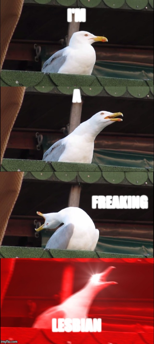 Inhaling Seagull | I'M; A; FREAKING; LESBIAN | image tagged in memes,inhaling seagull | made w/ Imgflip meme maker