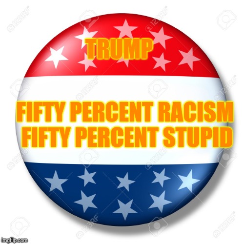 Blank for president | TRUMP; FIFTY PERCENT RACISM FIFTY PERCENT STUPID | image tagged in blank for president | made w/ Imgflip meme maker