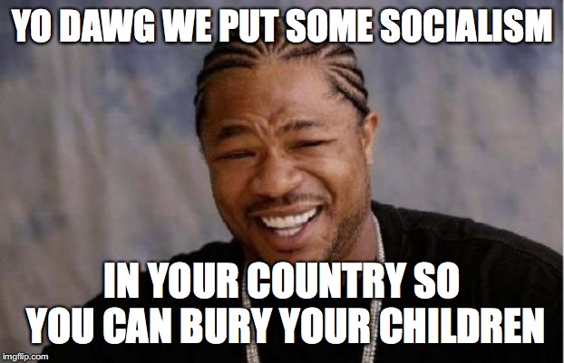 put it in you, put it in me | YO DAWG WE PUT SOME SOCIALISM; IN YOUR COUNTRY SO YOU CAN BURY YOUR CHILDREN | image tagged in memes,yo dawg heard you | made w/ Imgflip meme maker
