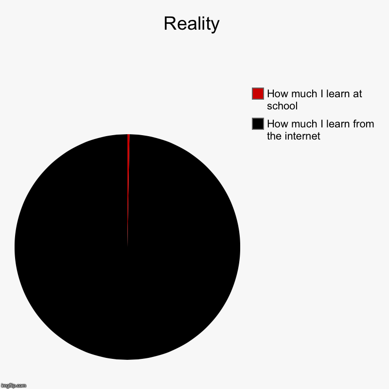Yeah... | Reality | How much I learn from the internet, How much I learn at school | image tagged in charts,pie charts,memes | made w/ Imgflip chart maker