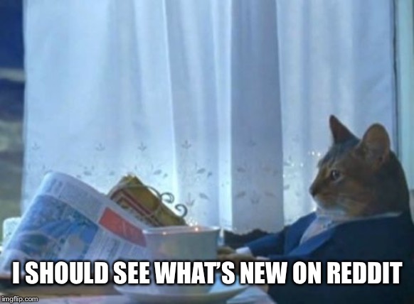 I Should Buy A Boat Cat Meme | I SHOULD SEE WHAT’S NEW ON REDDIT | image tagged in memes,i should buy a boat cat,AdviceAnimals | made w/ Imgflip meme maker