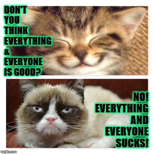GRUMPY VS SMILEY | DON'T YOU THINK EVERYTHING & EVERYONE IS GOOD? NO! EVERYTHING AND EVERYONE SUCKS! | image tagged in grumpy vs smiley | made w/ Imgflip meme maker