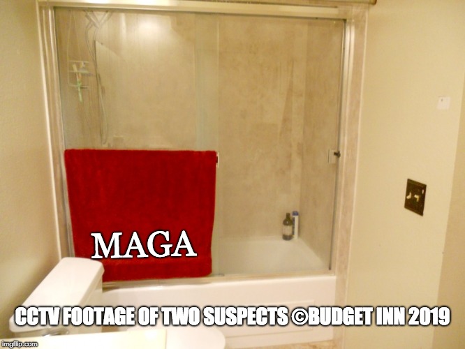 CCTV FOOTAGE OF TWO SUSPECTS ©BUDGET INN 2019 MAGA | made w/ Imgflip meme maker
