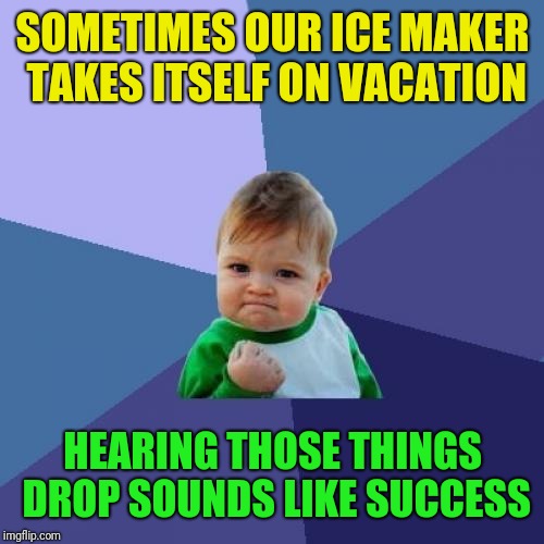 Success Kid Meme | SOMETIMES OUR ICE MAKER TAKES ITSELF ON VACATION HEARING THOSE THINGS DROP SOUNDS LIKE SUCCESS | image tagged in memes,success kid | made w/ Imgflip meme maker