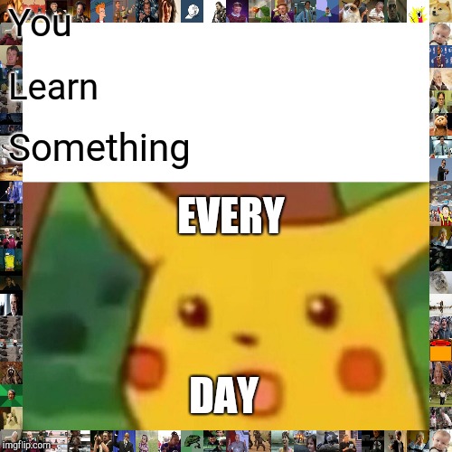 Surprised Pikachu | You; Learn; Something; EVERY; DAY | image tagged in memes,surprised pikachu | made w/ Imgflip meme maker