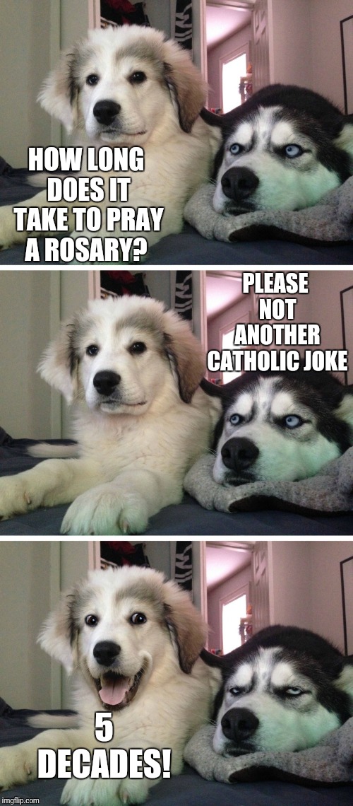 Bad pun dogs | HOW LONG DOES IT TAKE TO PRAY A ROSARY? PLEASE NOT ANOTHER CATHOLIC JOKE; 5 DECADES! | image tagged in bad pun dogs | made w/ Imgflip meme maker