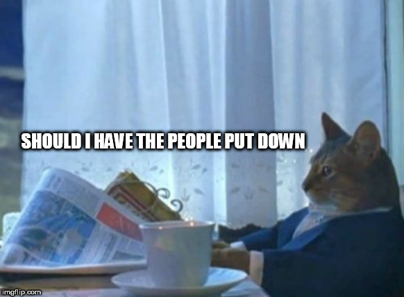 I Should Buy A Boat Cat Meme | SHOULD I HAVE THE PEOPLE PUT DOWN | image tagged in memes,i should buy a boat cat | made w/ Imgflip meme maker