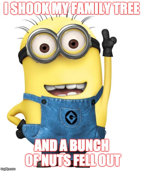 minions | I SHOOK MY FAMILY TREE; AND A BUNCH OF NUTS FELL OUT | image tagged in minions | made w/ Imgflip meme maker