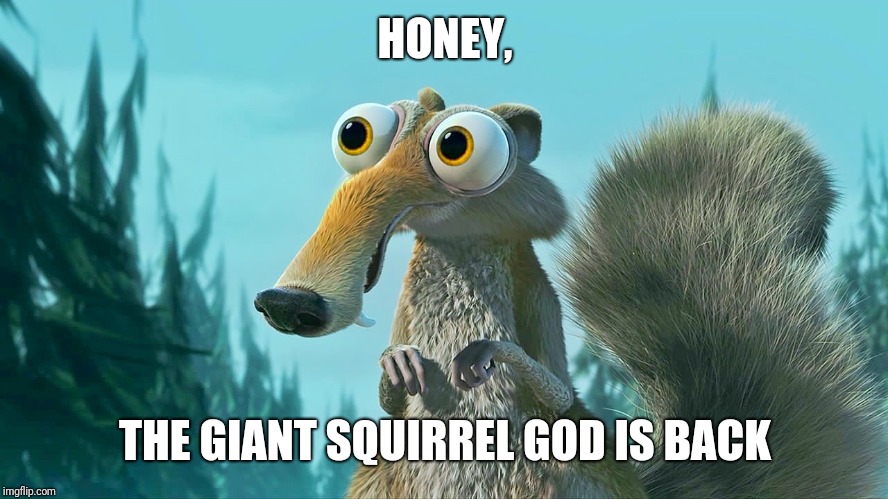 Scrat amazed | HONEY, THE GIANT SQUIRREL GOD IS BACK | image tagged in scrat amazed | made w/ Imgflip meme maker