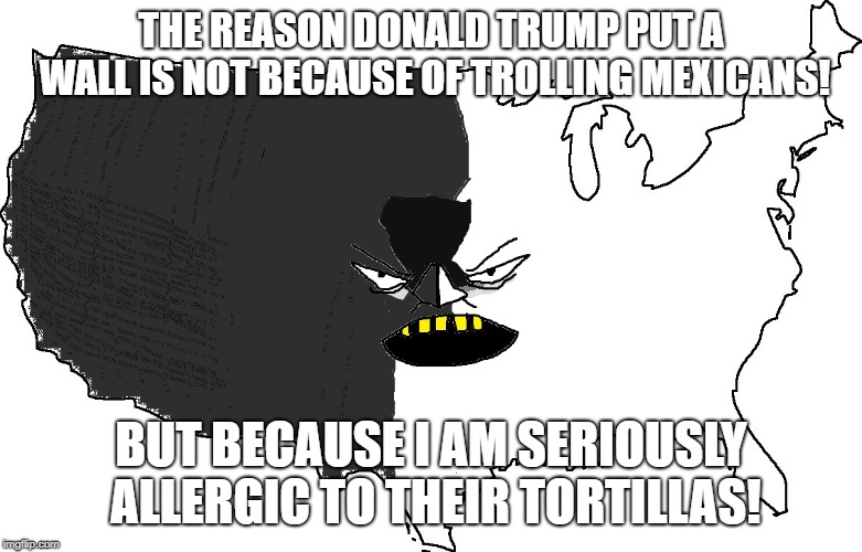 Ultra Serious America | THE REASON DONALD TRUMP PUT A WALL IS NOT BECAUSE OF TROLLING MEXICANS! BUT BECAUSE I AM SERIOUSLY ALLERGIC TO THEIR TORTILLAS! | image tagged in ultra serious america | made w/ Imgflip meme maker