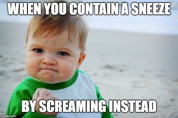 Success Kid Original | WHEN YOU CONTAIN A SNEEZE; BY SCREAMING INSTEAD | image tagged in memes,success kid original | made w/ Imgflip meme maker
