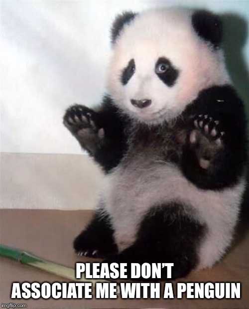 Hands Up panda | PLEASE DON’T ASSOCIATE ME WITH A PENGUIN | image tagged in hands up panda | made w/ Imgflip meme maker