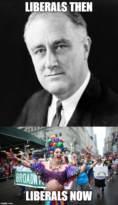 LIBERALS THEN LIBERALS NOW | image tagged in fdr promise | made w/ Imgflip meme maker