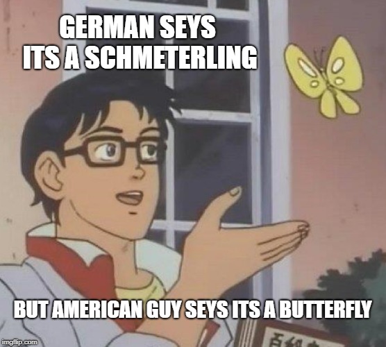 GERMAN SEYS ITS A SCHMETERLING BUT AMERICAN GUY SEYS ITS A BUTTERFLY | image tagged in memes,is this a pigeon | made w/ Imgflip meme maker