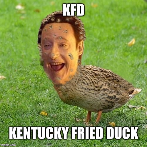 Cool Bullshit Da data duckith | KFD KENTUCKY FRIED DUCK | image tagged in cool bullshit da data duckith | made w/ Imgflip meme maker