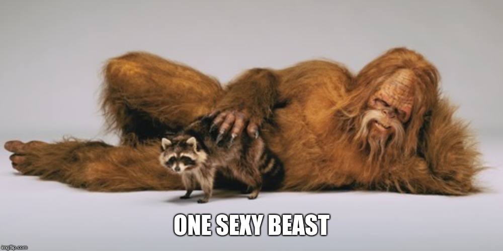 Sexy Beast | ONE SEXY BEAST | image tagged in bigfoot,sasquatch,skunk ape,oreng pengdek,yeti | made w/ Imgflip meme maker