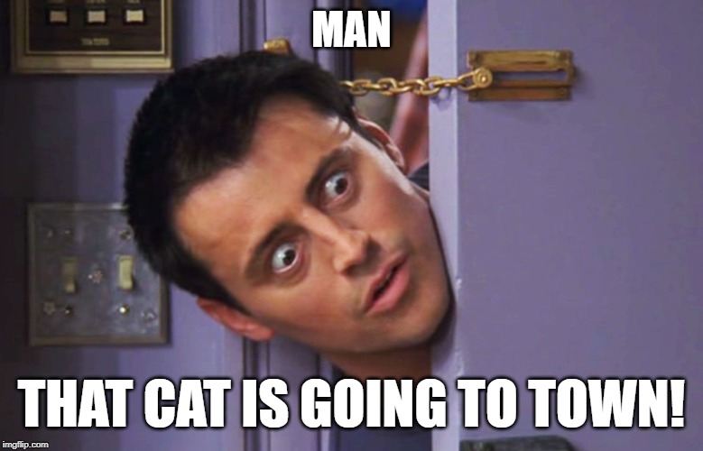 joey door | MAN THAT CAT IS GOING TO TOWN! | image tagged in joey door | made w/ Imgflip meme maker