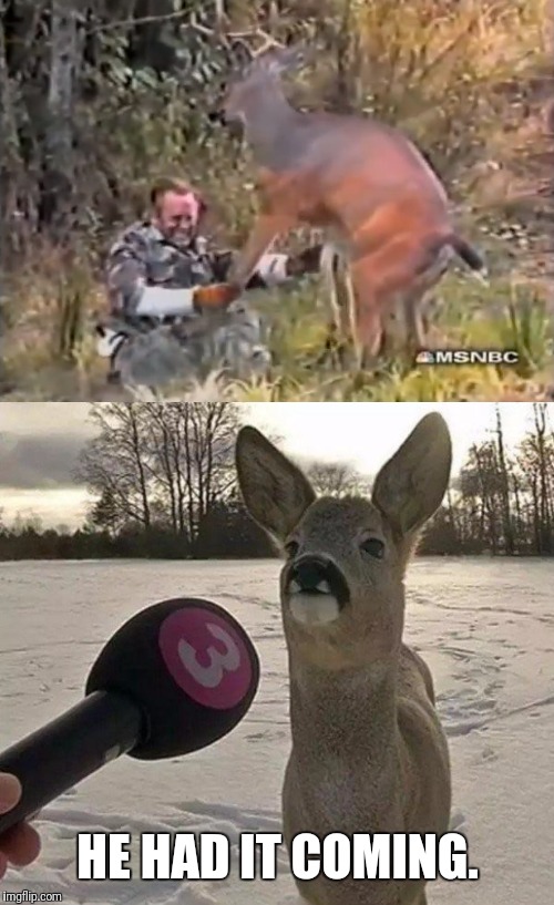 He Killed Ma Brother | HE HAD IT COMING. | image tagged in payback,deer,kills,man,hunting | made w/ Imgflip meme maker