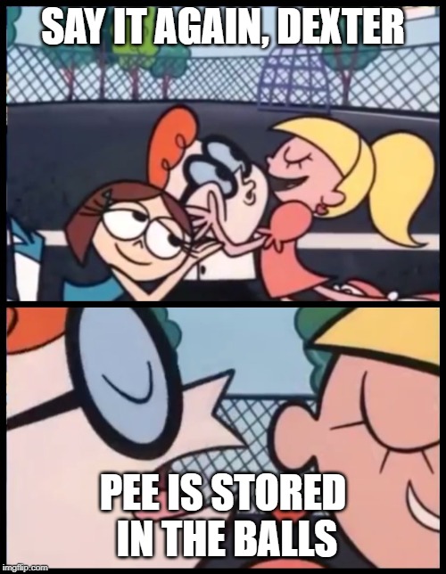Say it Again, Dexter Meme | SAY IT AGAIN, DEXTER; PEE IS STORED IN THE BALLS | image tagged in memes,say it again dexter | made w/ Imgflip meme maker