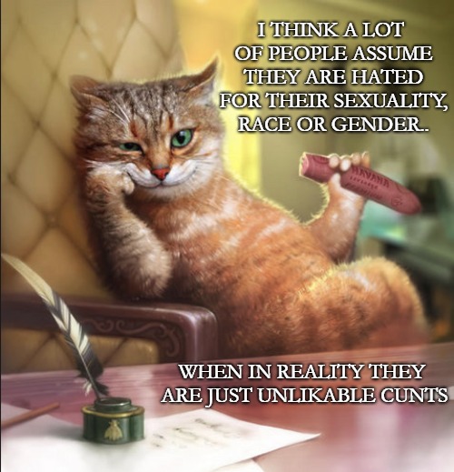 Time to face facts | I THINK A LOT OF PEOPLE ASSUME THEY ARE HATED FOR THEIR SEXUALITY, RACE OR GENDER.. WHEN IN REALITY THEY ARE JUST UNLIKABLE CUNTS | image tagged in cat memes,words that offend liberals,offensive,you suck | made w/ Imgflip meme maker