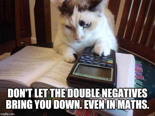 Math cat | DON'T LET THE DOUBLE NEGATIVES BRING YOU DOWN. EVEN IN MATHS. | image tagged in math cat | made w/ Imgflip meme maker