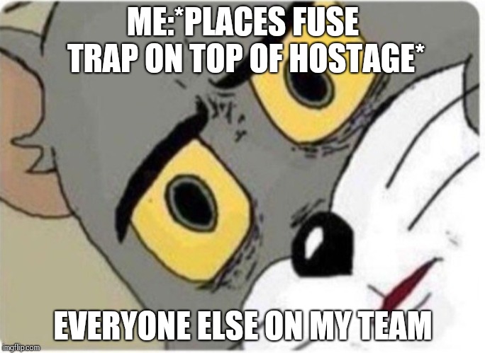 Tom and Jerry meme | ME:*PLACES FUSE TRAP ON TOP OF HOSTAGE*; EVERYONE ELSE ON MY TEAM | image tagged in tom and jerry meme | made w/ Imgflip meme maker