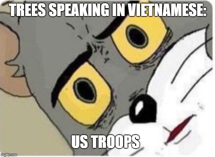 Tom and Jerry meme | TREES SPEAKING IN VIETNAMESE:; US TROOPS | image tagged in tom and jerry meme | made w/ Imgflip meme maker