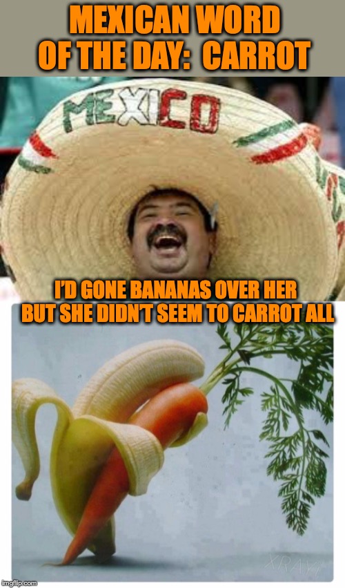 MEXICAN WORD OF THE DAY:  CARROT; I’D GONE BANANAS OVER HER BUT SHE DIDN’T SEEM TO CARROT ALL | image tagged in mexican word,carrots | made w/ Imgflip meme maker