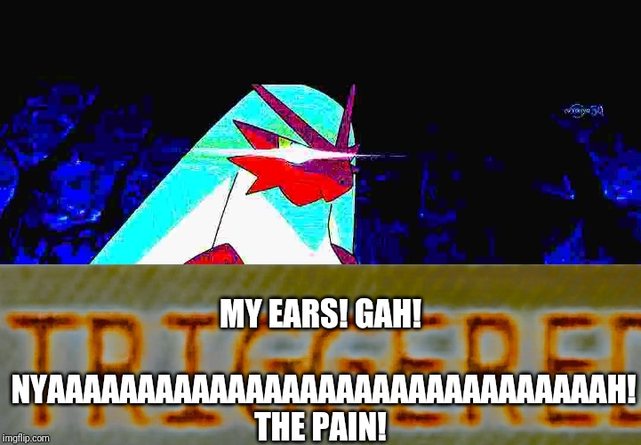 MY EARS! GAH! NYAAAAAAAAAAAAAAAAAAAAAAAAAAAAAAAH! THE PAIN! | image tagged in blaze the blaziken triggered | made w/ Imgflip meme maker