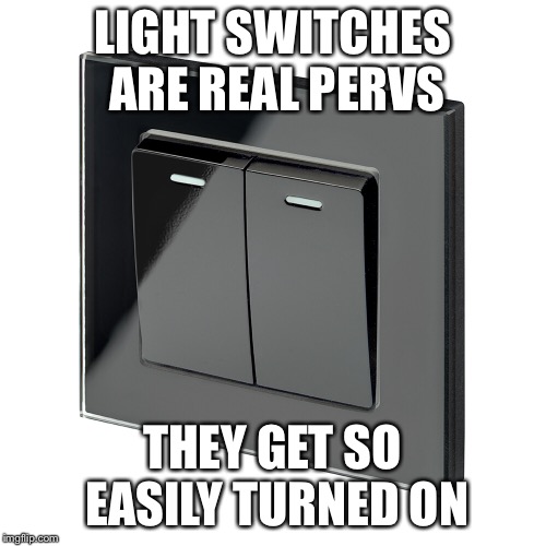 And they love a good fingering | LIGHT SWITCHES ARE REAL PERVS; THEY GET SO EASILY TURNED ON | image tagged in switch | made w/ Imgflip meme maker