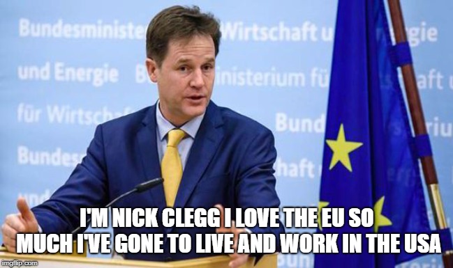 Nick Clegg | I'M NICK CLEGG I LOVE THE EU SO MUCH I'VE GONE TO LIVE AND WORK IN THE USA | image tagged in nick clegg | made w/ Imgflip meme maker