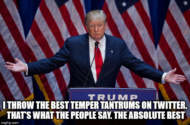 Donald Trump | I THROW THE BEST TEMPER TANTRUMS ON TWITTER. THAT'S WHAT THE PEOPLE SAY. THE ABSOLUTE BEST | image tagged in donald trump | made w/ Imgflip meme maker