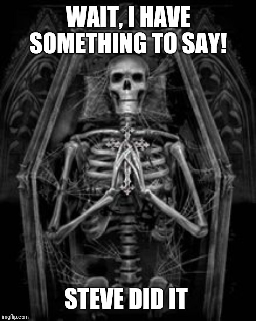 Skeleton Casket | WAIT, I HAVE SOMETHING TO SAY! STEVE DID IT | image tagged in skeleton casket | made w/ Imgflip meme maker