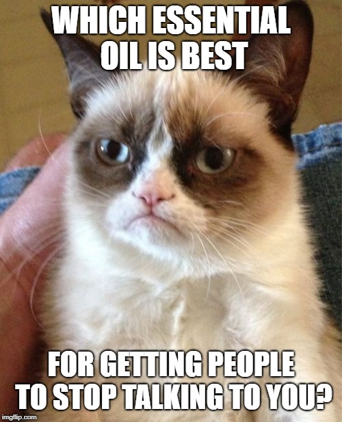 Grumpy Cat | WHICH ESSENTIAL OIL IS BEST; FOR GETTING PEOPLE TO STOP TALKING TO YOU? | image tagged in memes,grumpy cat,funny memes,essential oil | made w/ Imgflip meme maker