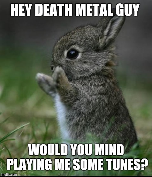 Cute Bunny | HEY DEATH METAL GUY WOULD YOU MIND PLAYING ME SOME TUNES? | image tagged in cute bunny | made w/ Imgflip meme maker