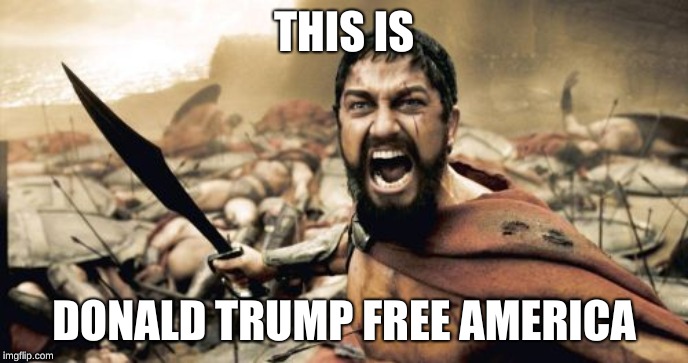 Sparta Leonidas | THIS IS; DONALD TRUMP FREE AMERICA | image tagged in memes,sparta leonidas | made w/ Imgflip meme maker
