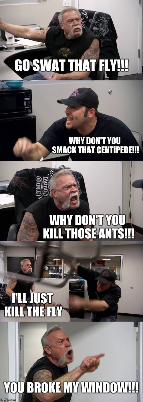 American Chopper Argument | GO SWAT THAT FLY!!! WHY DON'T YOU SMACK THAT CENTIPEDE!!! WHY DON'T YOU KILL THOSE ANTS!!! I'LL JUST KILL THE FLY; YOU BROKE MY WINDOW!!! | image tagged in memes,american chopper argument | made w/ Imgflip meme maker