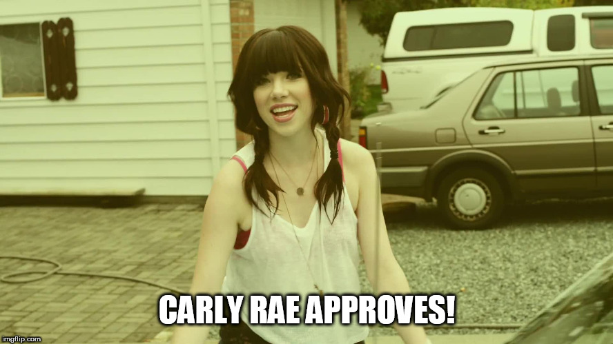 Carly Rae Jepsen | CARLY RAE APPROVES! | image tagged in carly rae jepsen | made w/ Imgflip meme maker