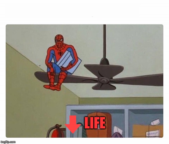 spider man floor is lava | LIFE | image tagged in spider man floor is lava | made w/ Imgflip meme maker