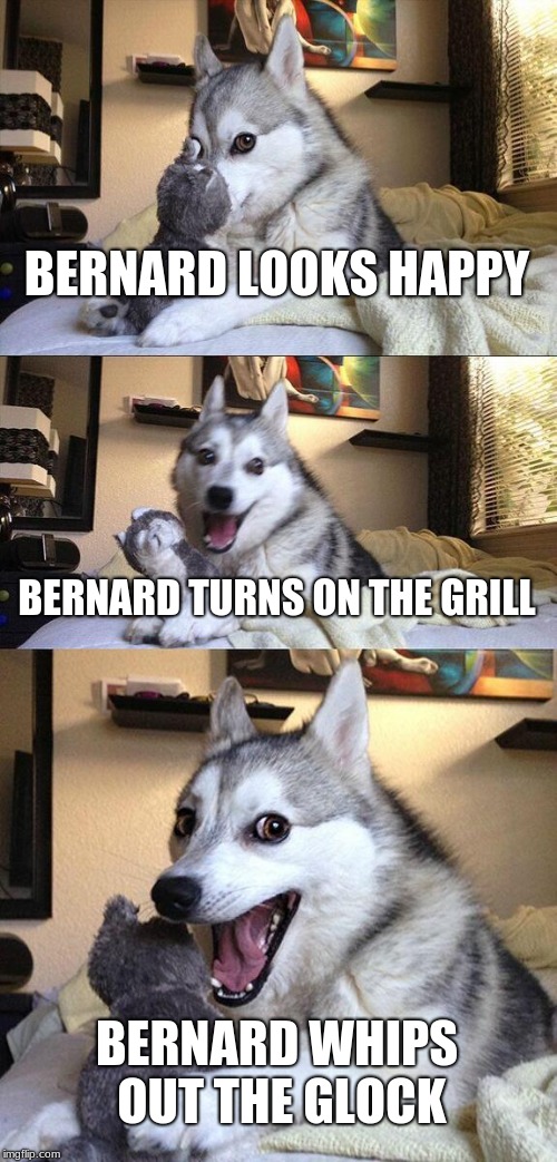 Bad Pun Dog | BERNARD LOOKS HAPPY; BERNARD TURNS ON THE GRILL; BERNARD WHIPS OUT THE GLOCK | image tagged in memes,bad pun dog | made w/ Imgflip meme maker